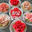 해빛1로 | 하남 어버이날 선물 추천, 해빛케이크 앙금 쿠키 후기 (하남 부모님 선물, 스승의 날 선물)