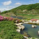 여주-1081 이미지