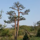 운곡농장 이미지