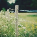 자연과치유 이미지