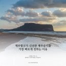 제주항구 | 제주항구가 신선한 제주갈치를 가장 빠르게 전하는 이유