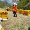 완주양봉원 이미지