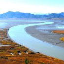 갈대정원 이미지