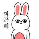 딸기네샵 이미지