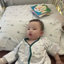 브레댄코용인다보스병원점 | 8개월 아기 RSV 감염 용인 다보스 병원 입원 후기