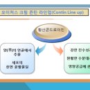 바르실래 이미지