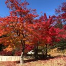 (78) 가을아침 ෆ⃛