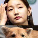 밤소가든 네이버블로그