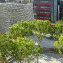 나도파랑 이미지