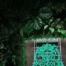 맥주정원 | [대전] 봉명동 분위기 맛집 ‘정원맥주’ 후기