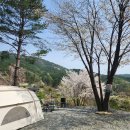 주문진 캠핑 정원펜션캠핑장 — 산·계곡·바다를 품은 숨은 명소