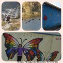 나비오리농원 이미지