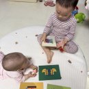 나우환경 | 두뇌발달에 좋은 브레인나우 체험팩 찐 후기