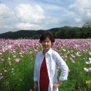 언양한우불고기 이미지