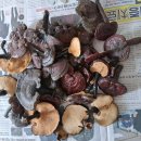 검성로-11 이미지