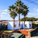 감성민박 | 제주도펜션 제주독채펜션 제주가볼만한곳 서귀포숙소 감성민박 사계새나하우스 후기