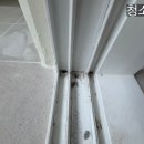 강동특수가스 | 둔촌동_인테리어현장_입수청소_특수청소_후기