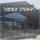 코지하우스정관점 | [내돈내산리뷰] 코지하우스 정관점 코지하우스×이연복 카우복이 동파육스테이크 기장아기랑식당