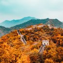 글로벌엠제이컨설팅