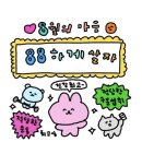 컴포즈커피동강대점 | 8/1-8/4 나의 여름이야기🌿