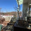 정원출장 이미지