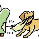 서울한빛동물병원 이미지