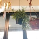 봉곡동343 이미지