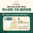 독스하트 구리 이미지