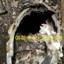 청학프라자 네이버블로그