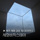 트윈하우스민박 | 제주 세화 게스트하우스 세화비치스테이 숙소 추천 여행 혼여 파티 해수욕장 도미토리 친구와