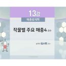 제13강 작물별 주요해충4 이미지