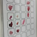 펜테리움컨설팅 | 동탄 14년차 경력 | 컬러즈 포 유 퍼스널 컬러 진단&컨설팅 받은 후기 🎀
