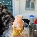 대포 크랩 | 속초 대포항 소문난 대포대게회직판장, 대포크랩 가성비 최고 한상 먹고온 후기