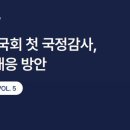 코딧 이미지