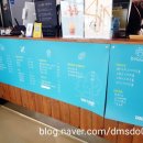 도그싸롱 이미지