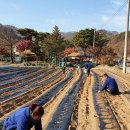 송학마을 이미지