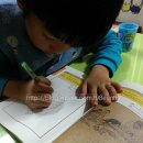 그림으로 보는 한국사 4주 -3일