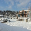 골든힐폼 이미지