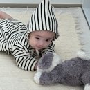 필리스 핏 | 5개월 아기옷브랜드 빌리에서 입혀요