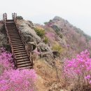 안민한의원 이미지