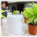 생활원예 강좌 이미지