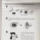 부광초등학교2 Daum카페