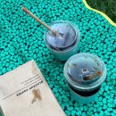 하단동1154 | [을숙도 피크닉] 핑크뮬리 어디갔냐 “을숙도생태공원피크닉” 후기 (9월27일 실시간)