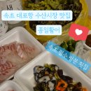 종일활어