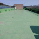 은혜고등학교 이미지