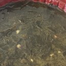 파리바게뜨 하양무학점 이미지