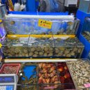 농수산물도매시장(수산공판장) | 수원 농수산물 도매시장 맛집 영일 수산에서 해산물 포장후기