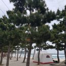 캠핑엔조이 이미지