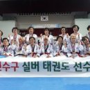 실버태권도 Daum카페