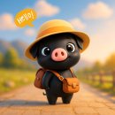 오산시 양산도서관 | 오산 응급처치 교육 후기｜일타강사에게 직접 배우는 생명을 살리는 기술